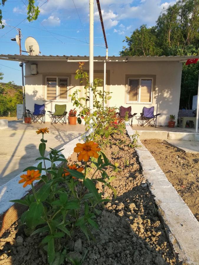 Alibaba Villa Near Airport And Beach Dalaman Εξωτερικό φωτογραφία