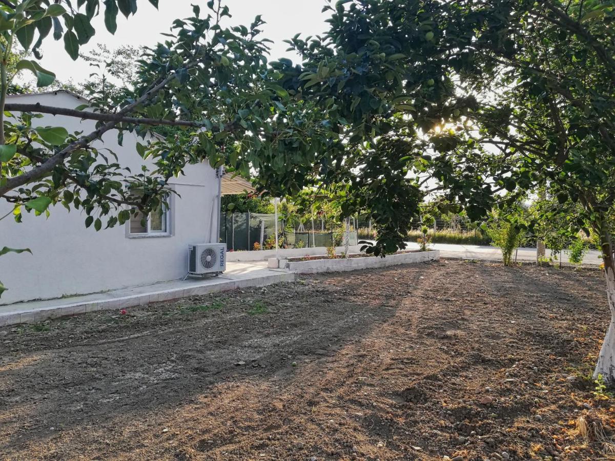 Alibaba Villa Near Airport And Beach Dalaman Εξωτερικό φωτογραφία