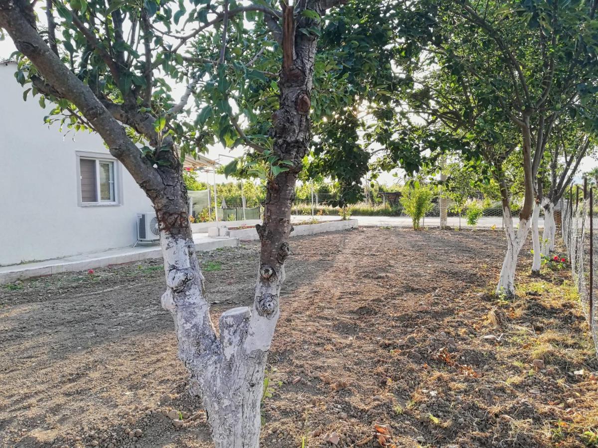 Alibaba Villa Near Airport And Beach Dalaman Εξωτερικό φωτογραφία