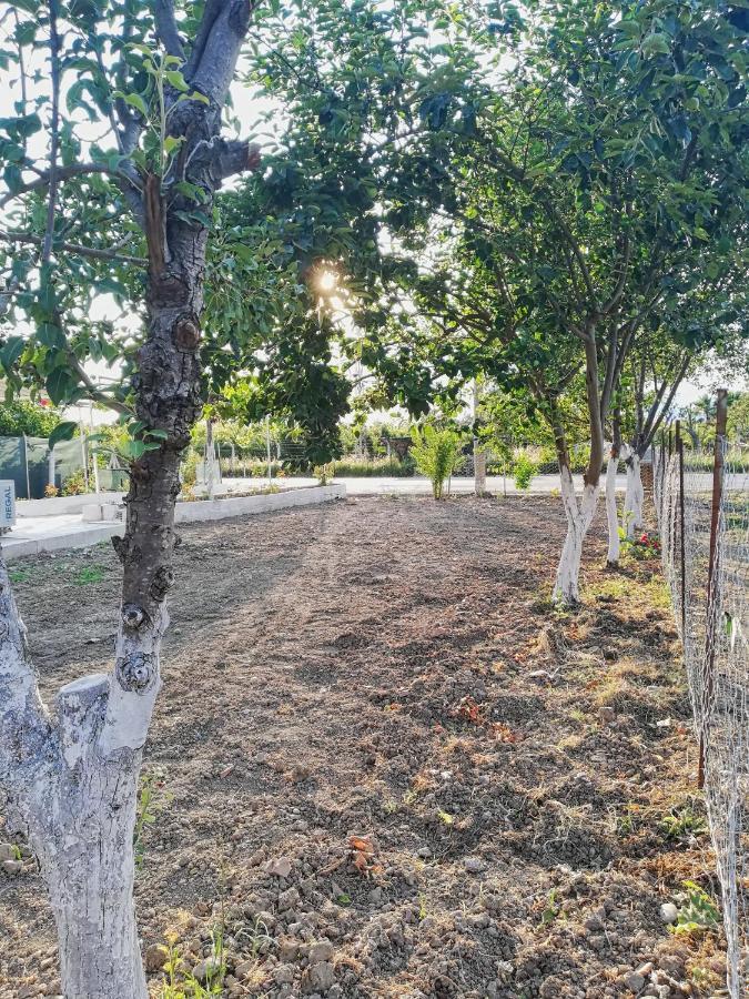 Alibaba Villa Near Airport And Beach Dalaman Εξωτερικό φωτογραφία