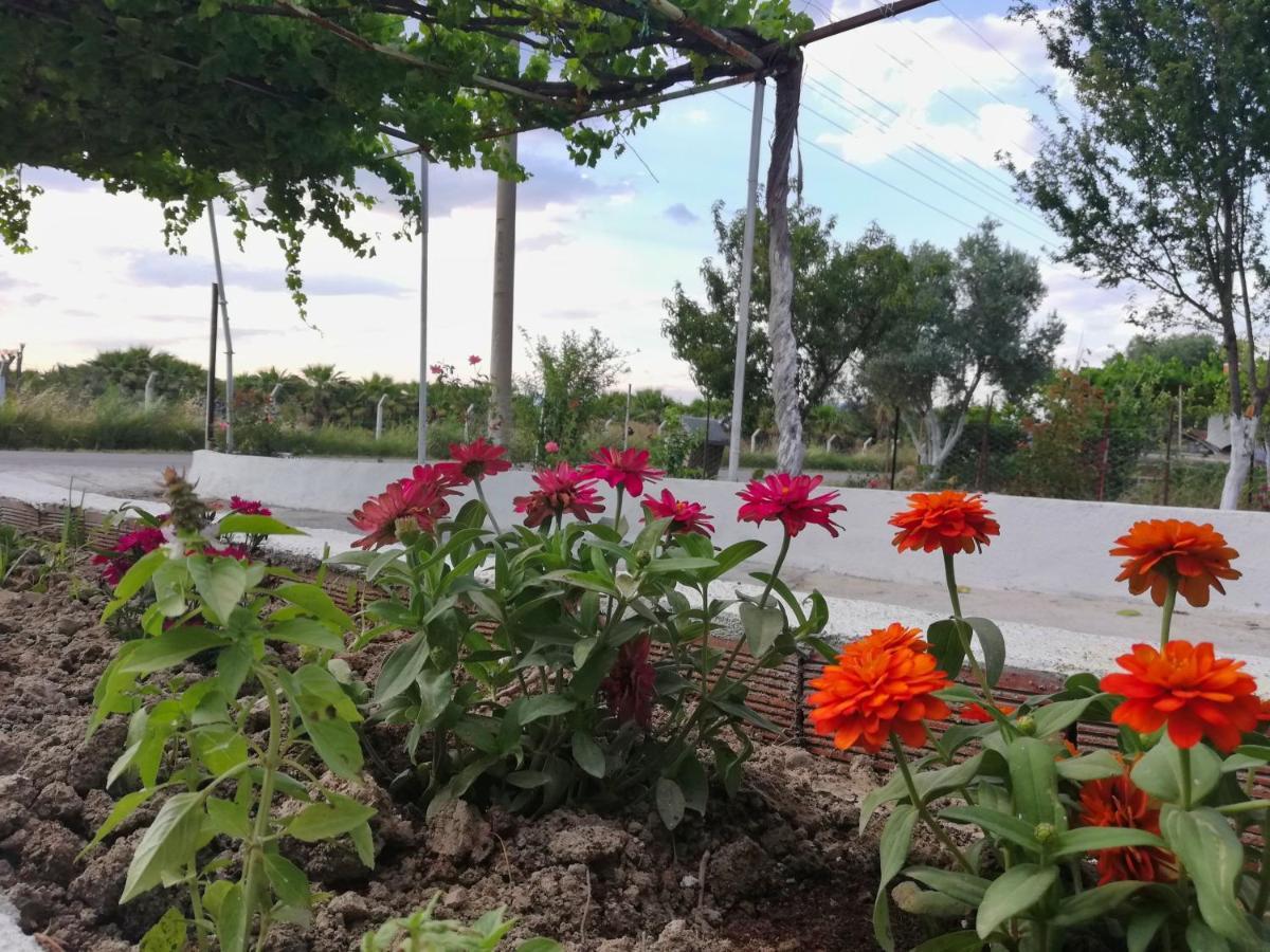 Alibaba Villa Near Airport And Beach Dalaman Εξωτερικό φωτογραφία