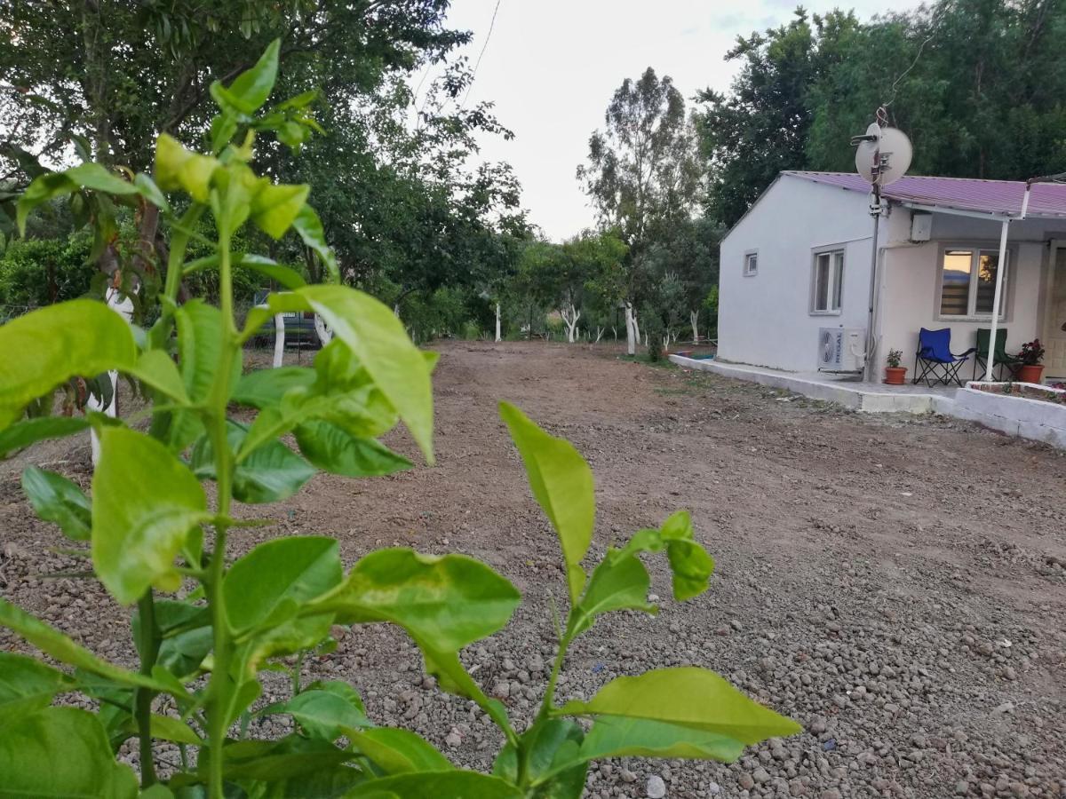 Alibaba Villa Near Airport And Beach Dalaman Εξωτερικό φωτογραφία